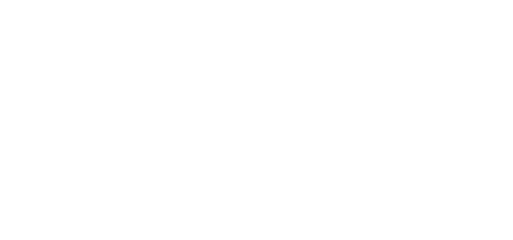 Coaliția pentru Economia Digitală